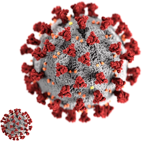 virus