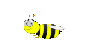 Bee GIF
